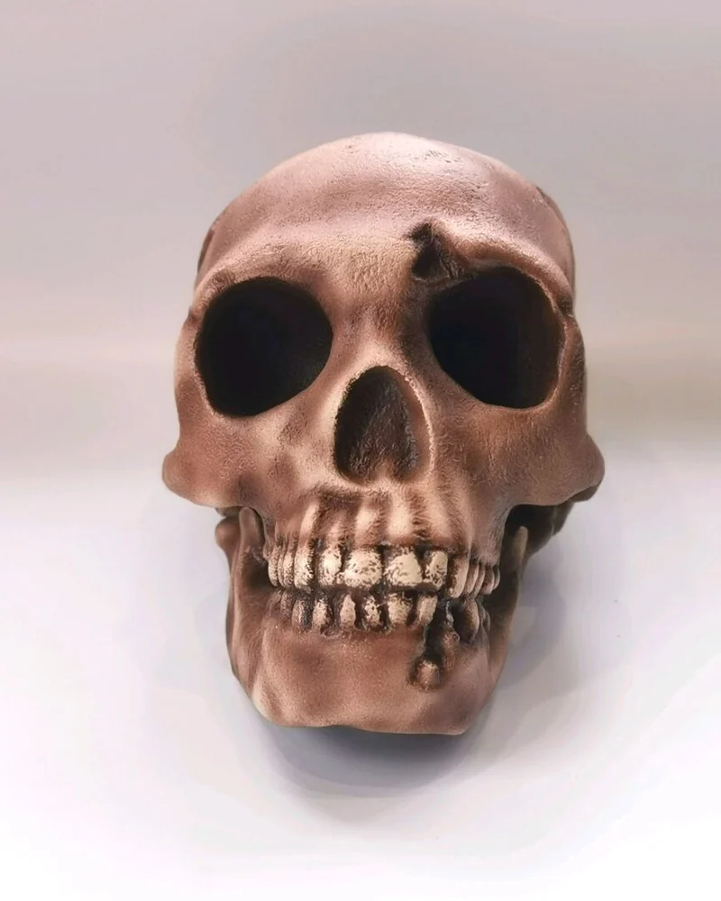 Реплика черепа Homo neanderthalensis (Le Moustier 1)