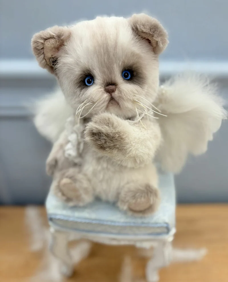 Котёнок Тедди — ангелочек, 21 см — Основной