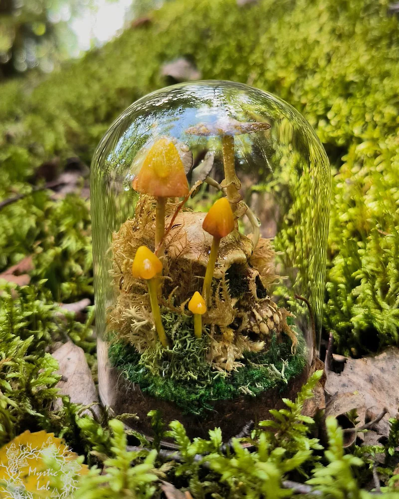 Мини клош ЧЕРЕП