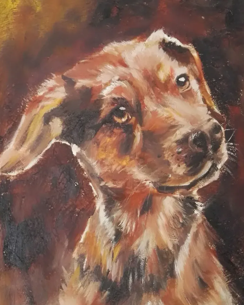 Друг. Картина маслом 25×30 см — 25×30 см