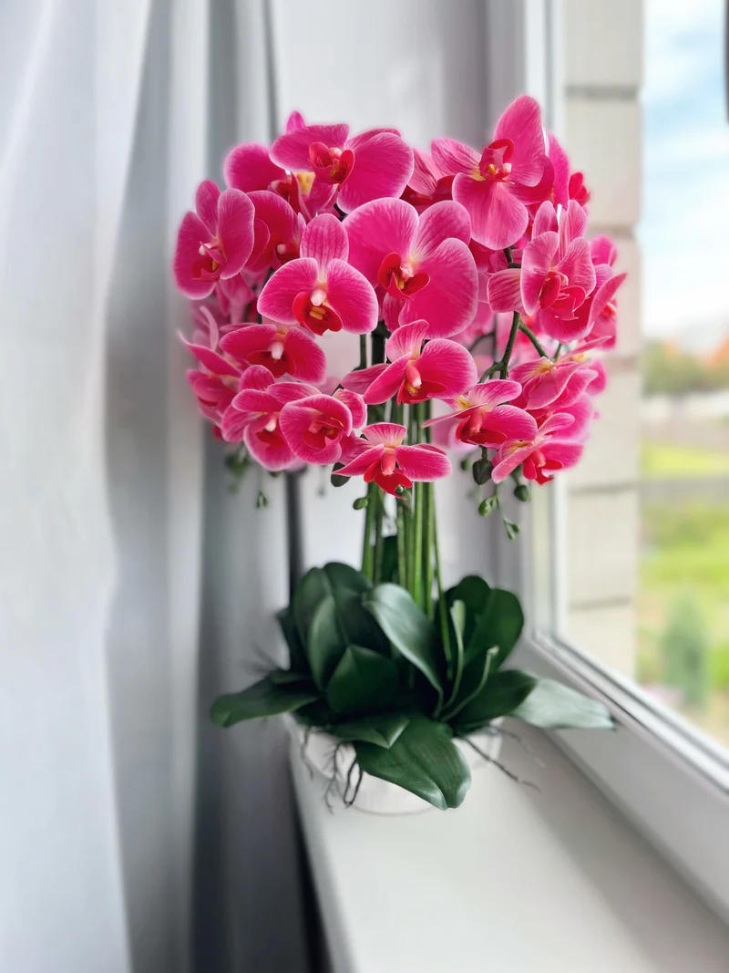 Композиция с орхидеями💗