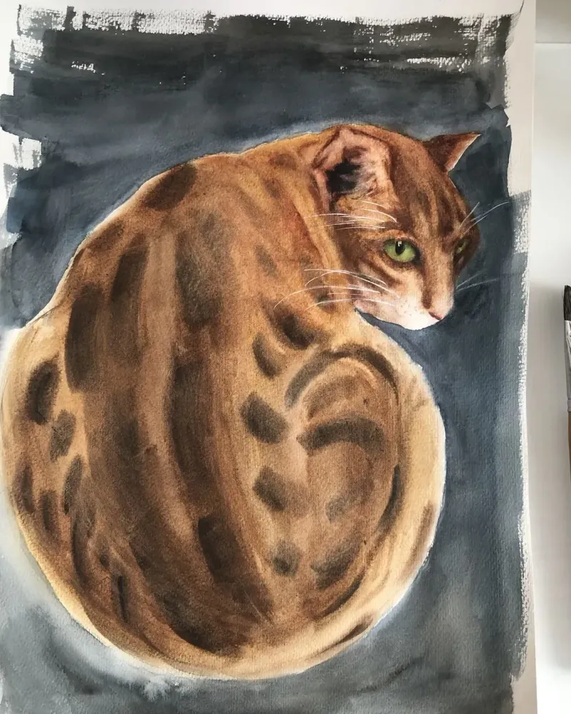 Кот. Картина акварелью — 30×40 см