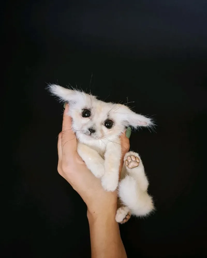 Реалистичный фенёк Ричи, белый