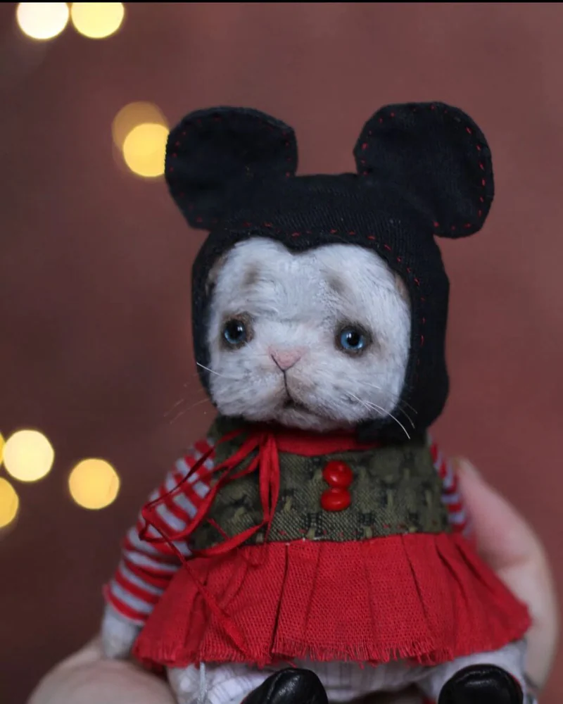Котенок тедди — Основной