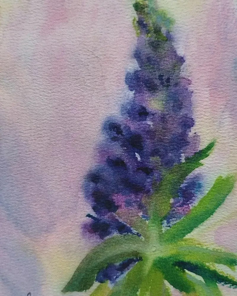 Сияние люпина. Цветы акварелью — 13×19 см
