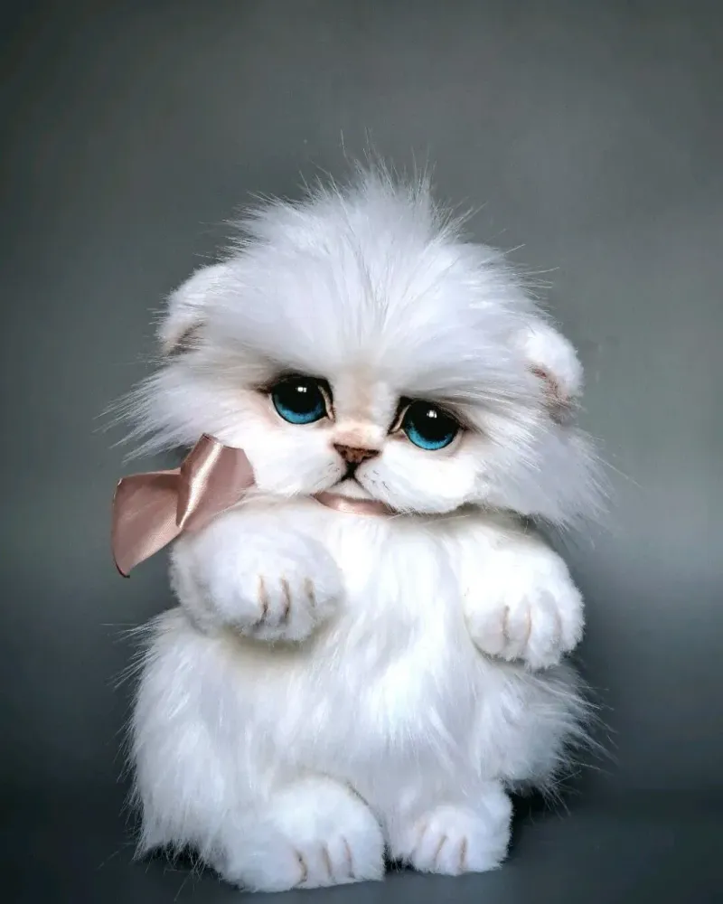 Котёнок тедди Зефир, белый