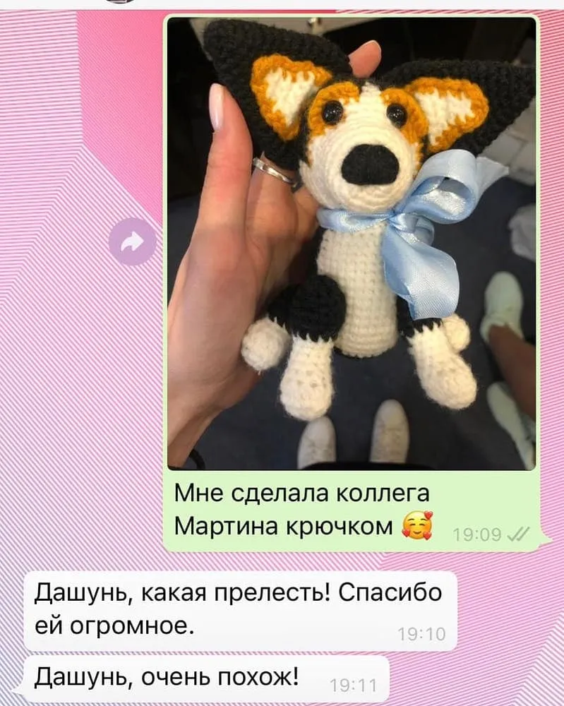 Малыш корги — рыжий с белым и чёрным