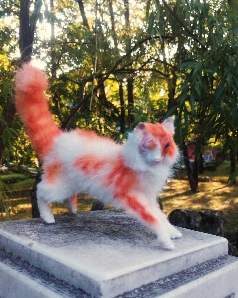 Рыжая кошка воин Яркое Сердце