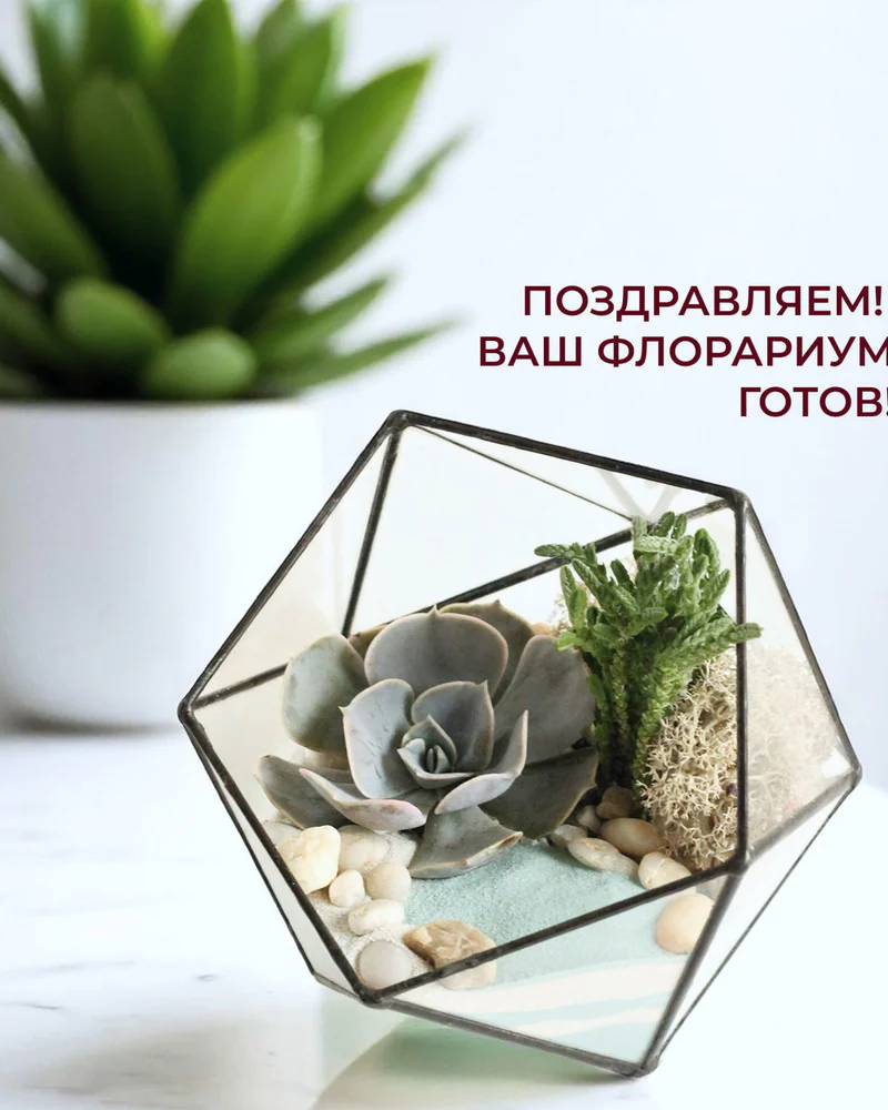Флорариум, Набор для самостоятельной сборки флорариума, Озеро — Основной