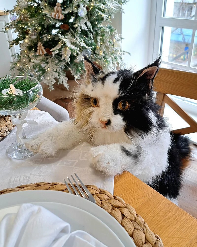 Реалистичная кошка Женька