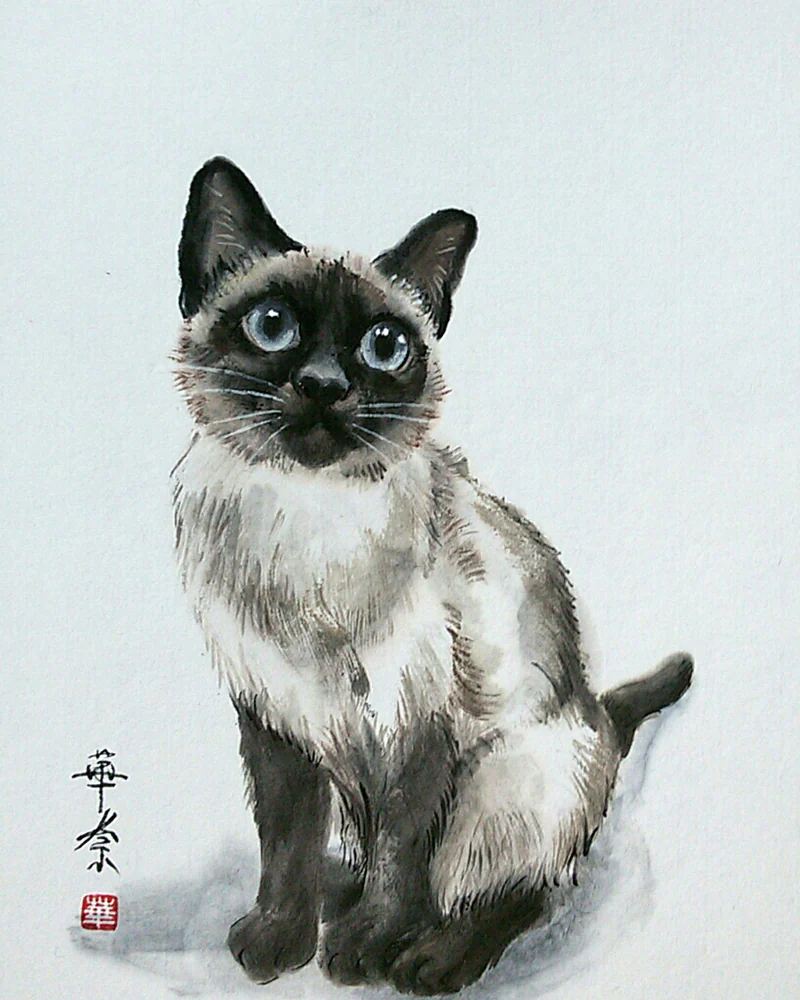 Картина Тайская кошка, 21x30 кот сиамский