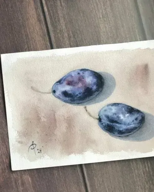 Сливы. Натюрморт акварелью — 15×21 см