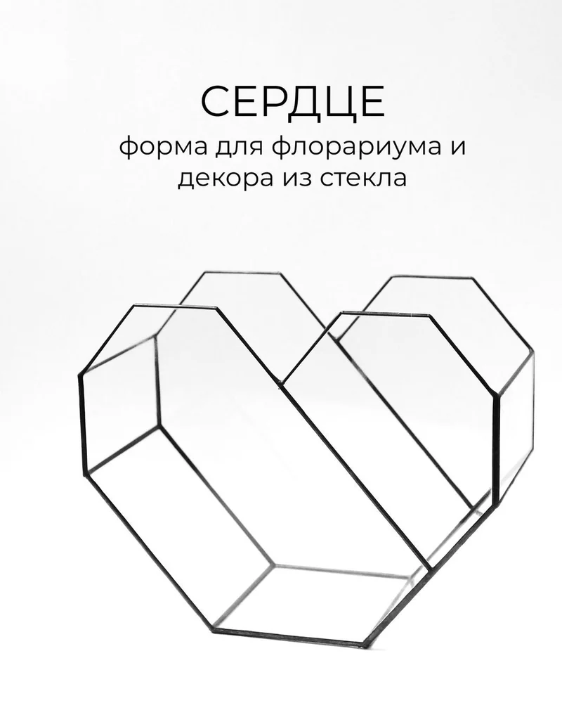 Флорариум Сердце — Стеклянная геометрическая ваза — Основной