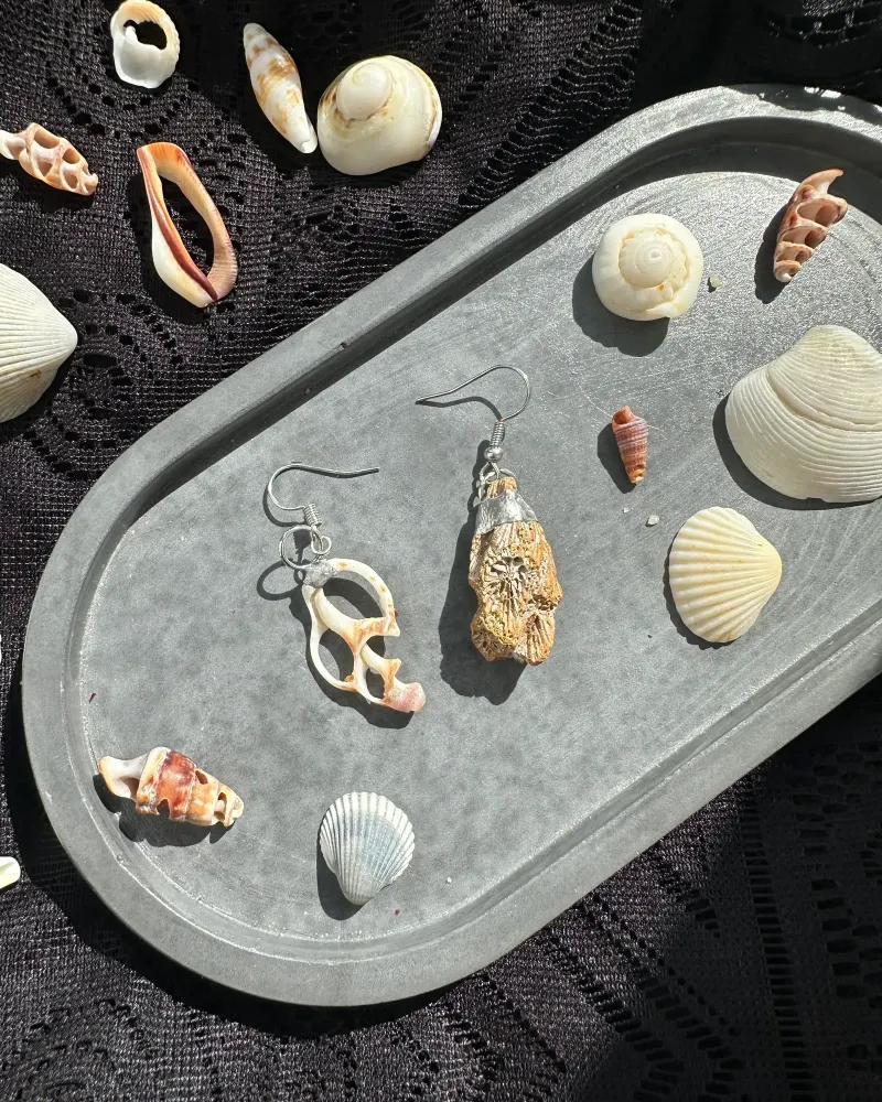 Сережки из коралла и ракушки в витражной технике — Рыже-белый