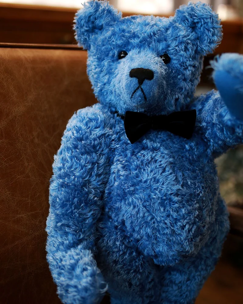 Bear — синий