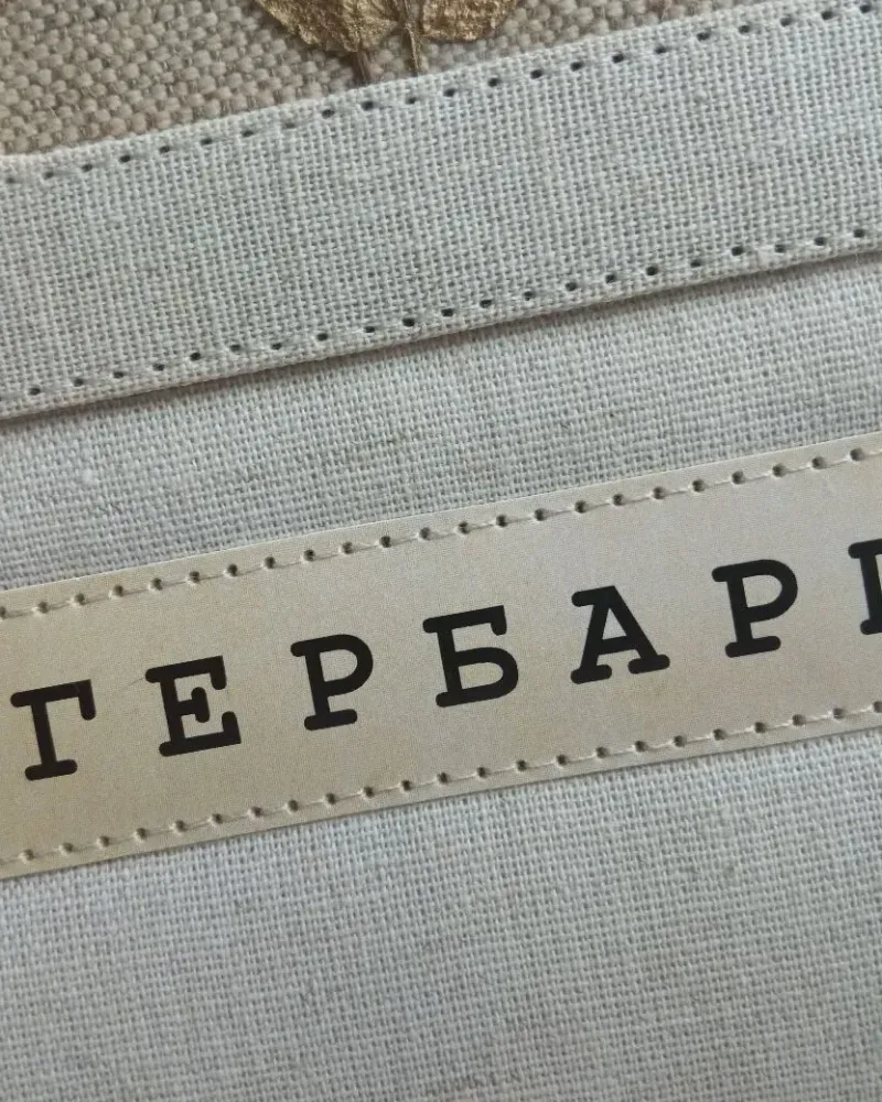 Альбом для гербария А5 на кольцах — Льняной