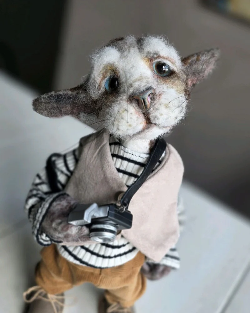 Кот Борис. Игрушка из шерсти