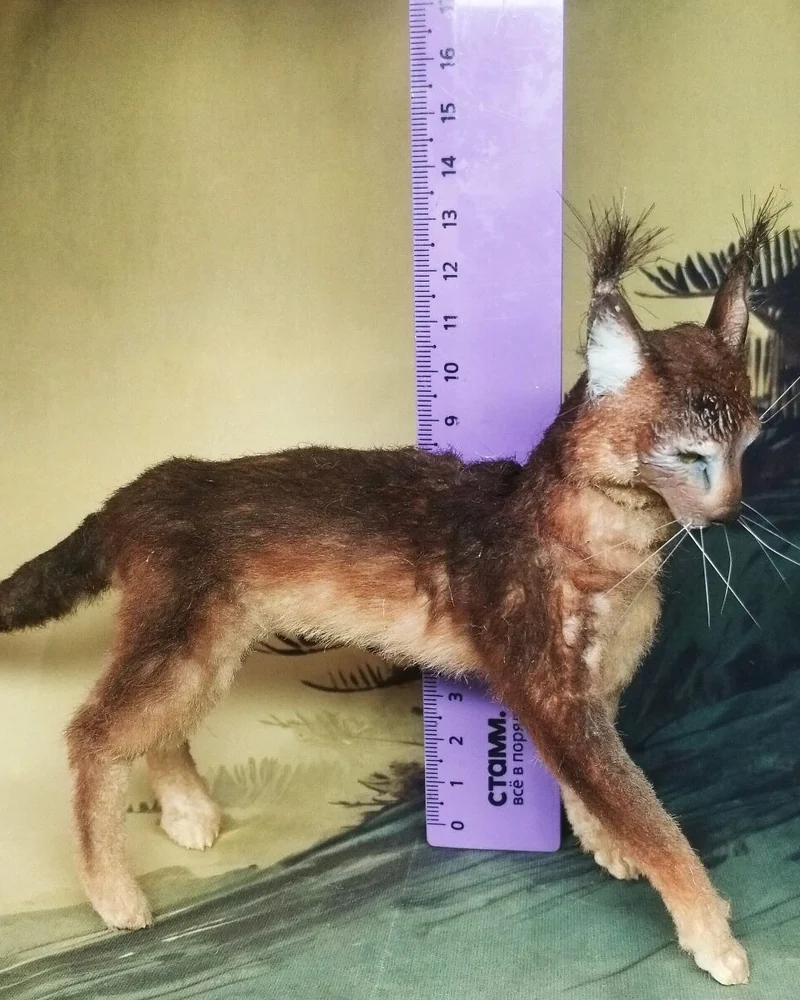 Каракал, фигурка 1:6 для куклы — Каракал, фигурка 1:6 для куклы