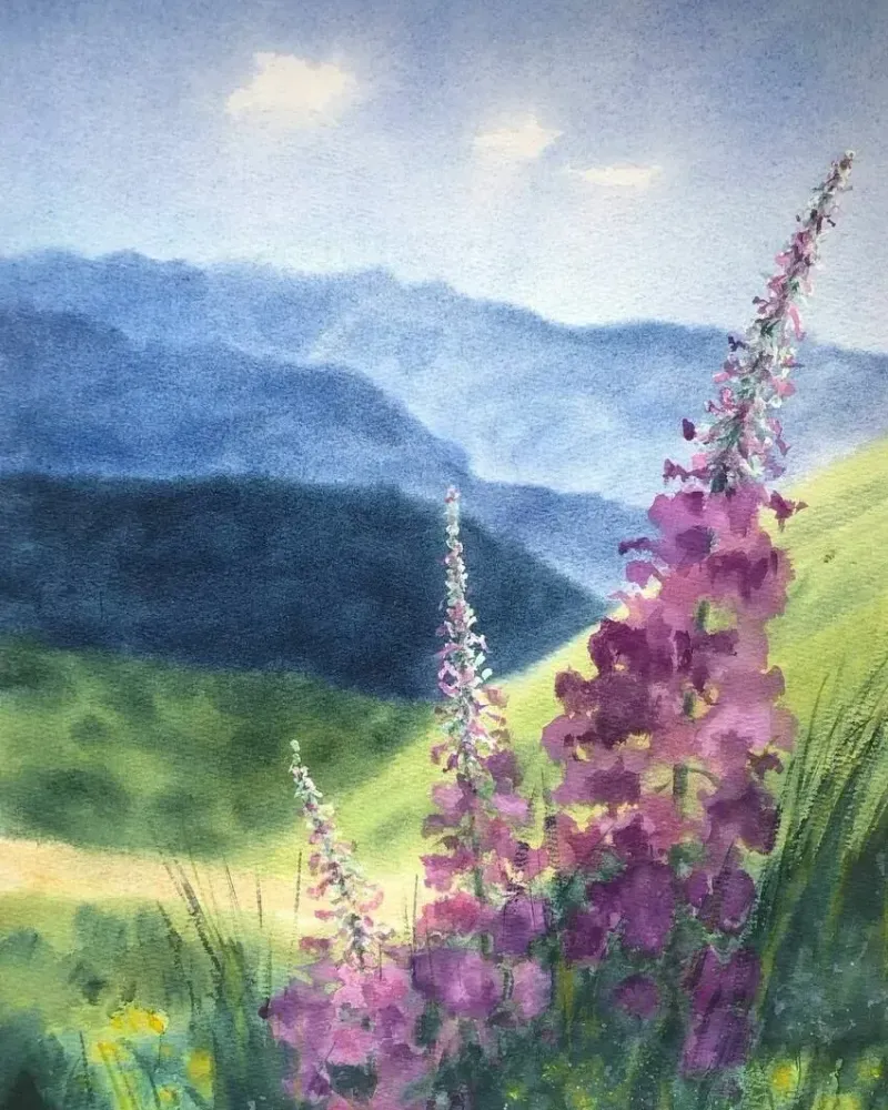 Горный пейзаж с иван-чаем. Акварель — 30×42 см