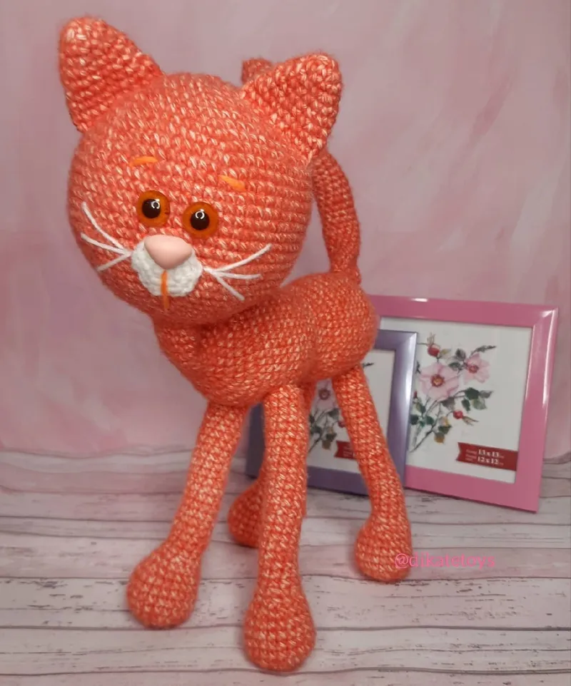 Рыжий кот
