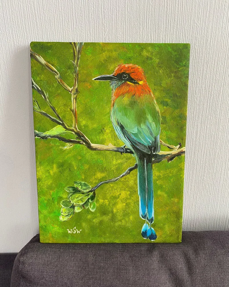 Картина маслом Экзотические птицы. Motmot. 30×40 см — Оригинал