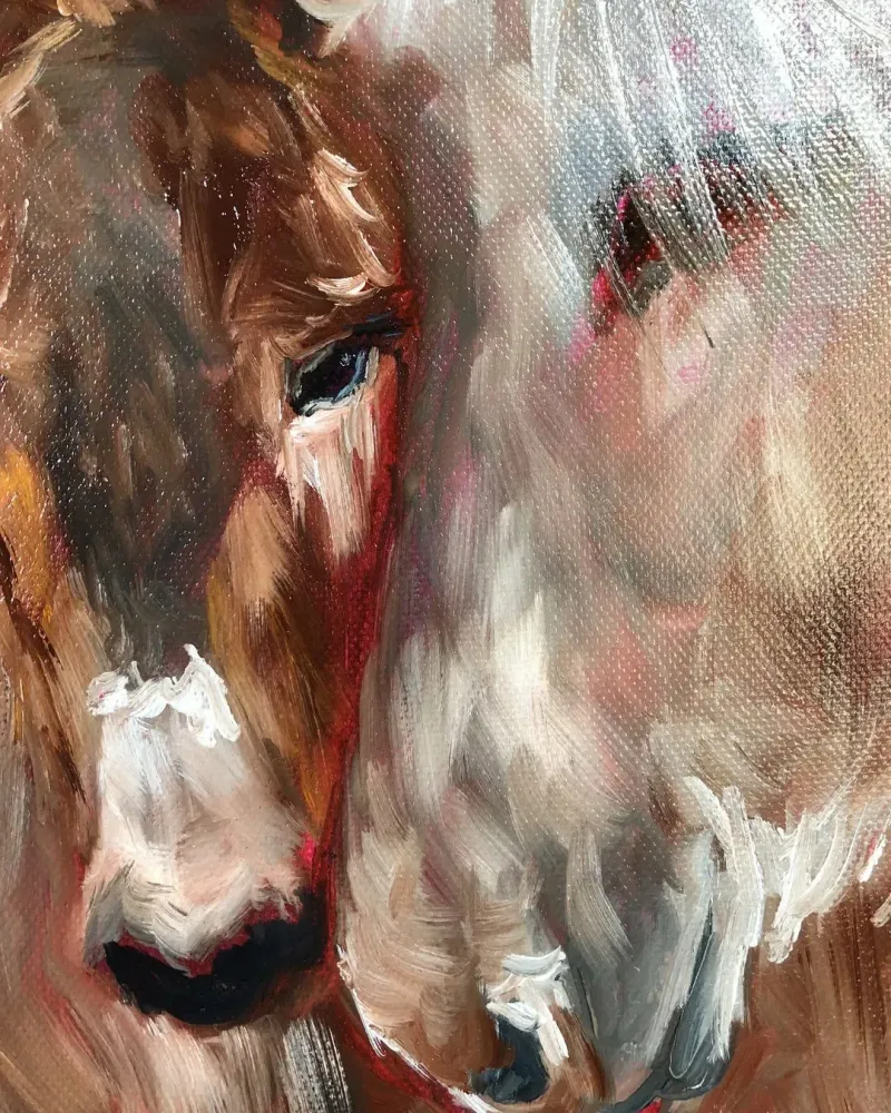 Ослики мама и малыш. Картина маслом 40×40 см — 40×40 см