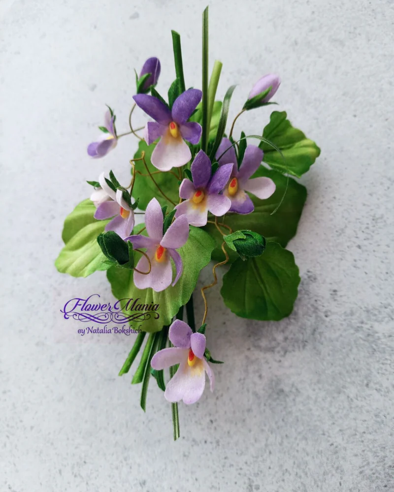 ФИАЛКИ КЁНИГСБЕРГА