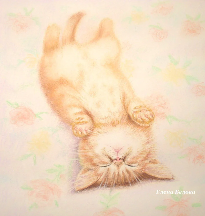 Картина в спальню Не тревожить!) в детскую, спящий кот