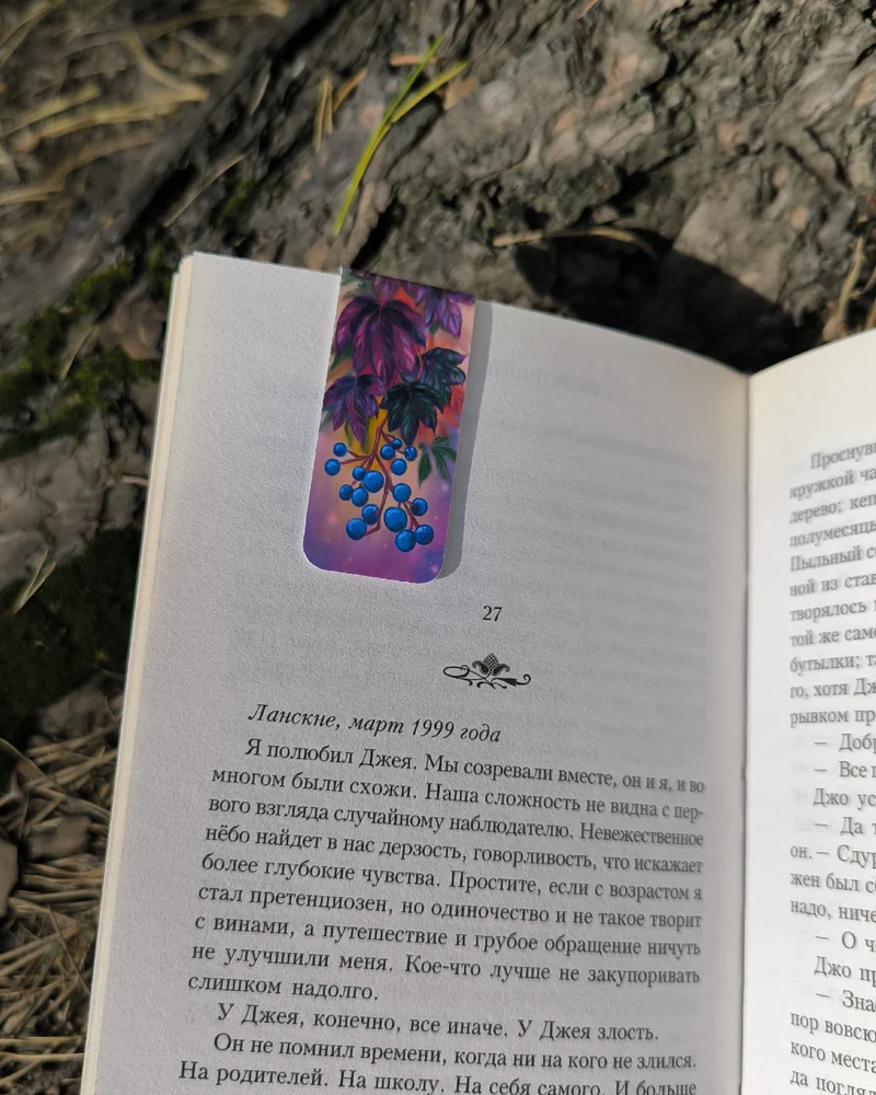 Магнитные закладки "Ягодные места. Закатные заросли"