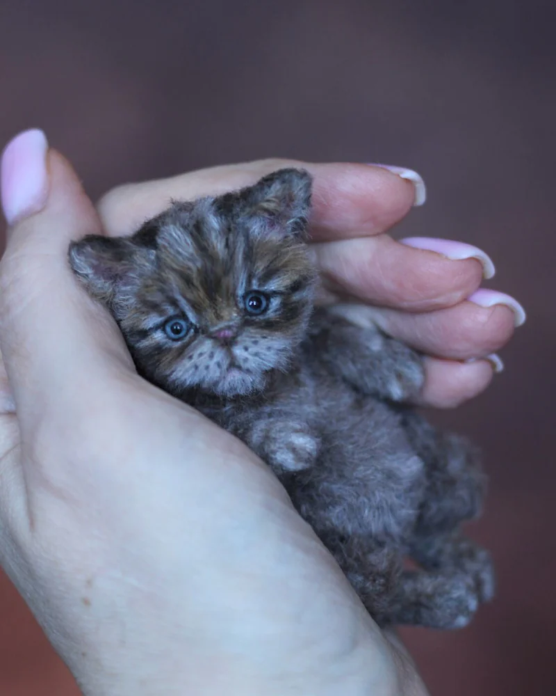 Котенок тедди 9,5 см, серый — Серый