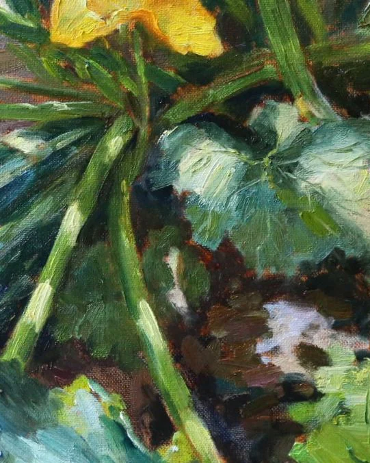 Цуккини. Картина маслом 35х40 см