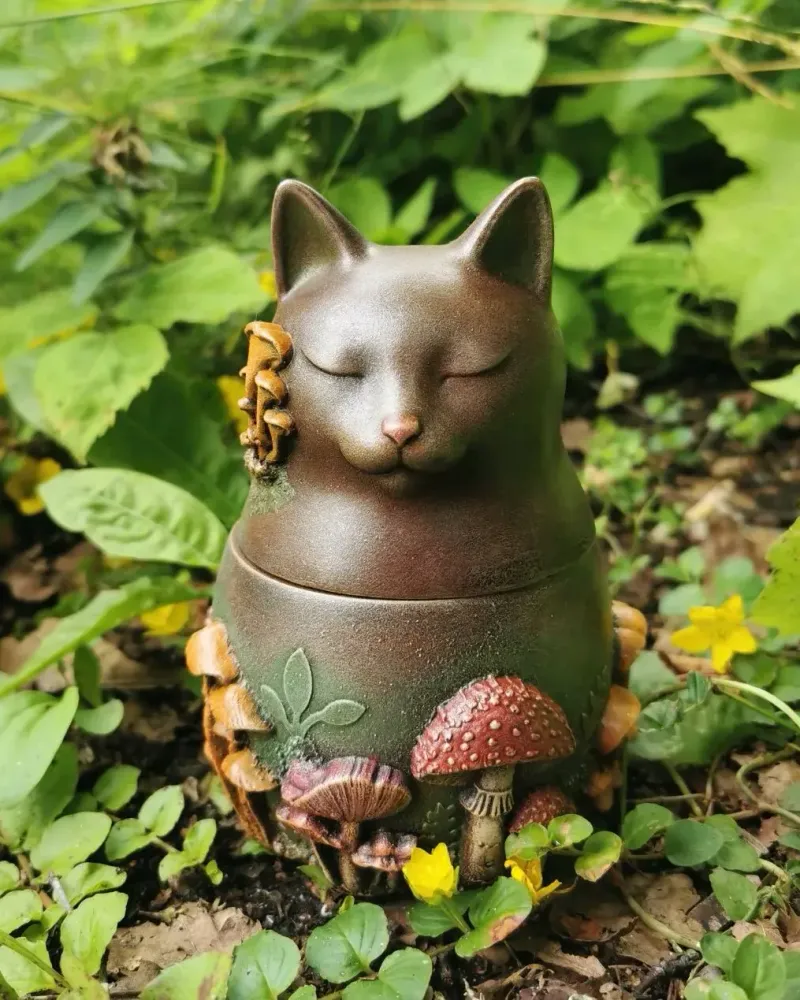 Котик Сеня Грибочкин, шкатулка