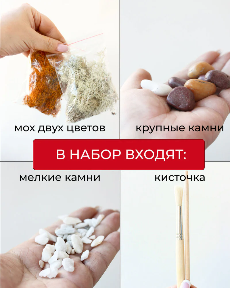 Флорариум, Набор для самостоятельной сборки флорариума — Основной