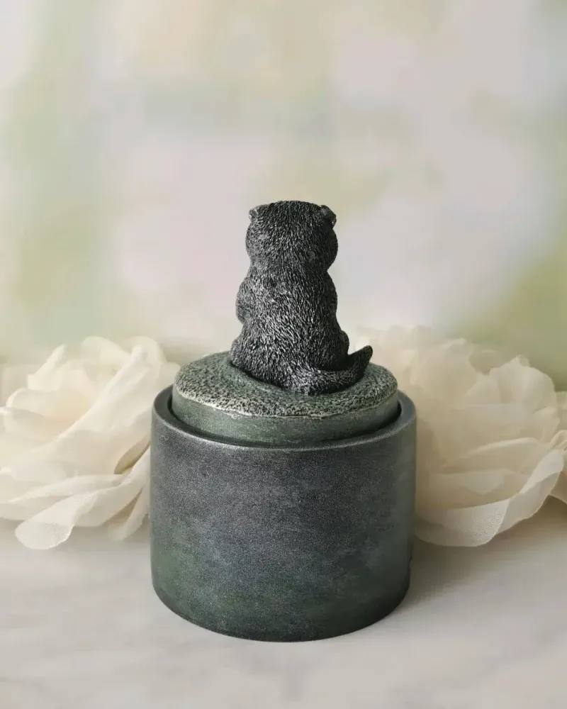 Шкатулка с шотландским вислоухим котиком
