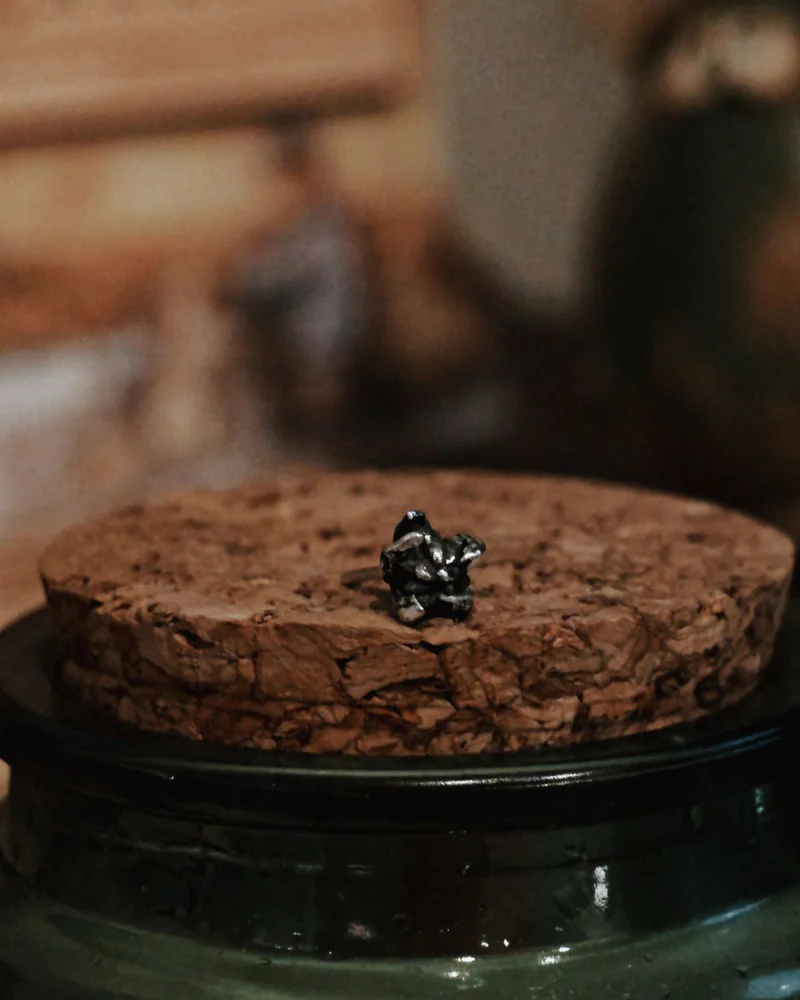 Сережки Малина — Сережки Малина
