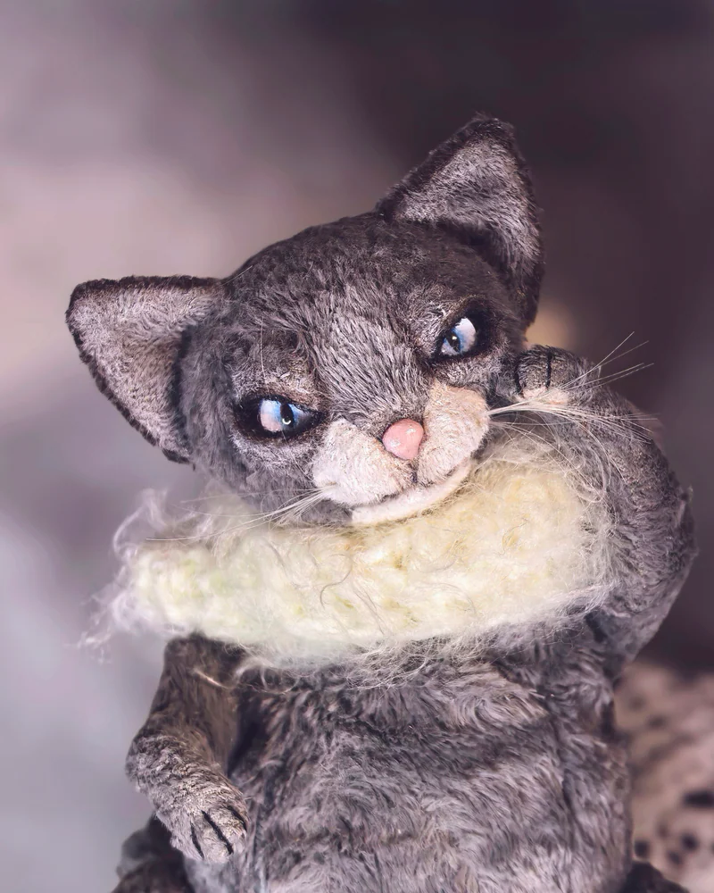 Кот тедди серый — Серый кот тедди
