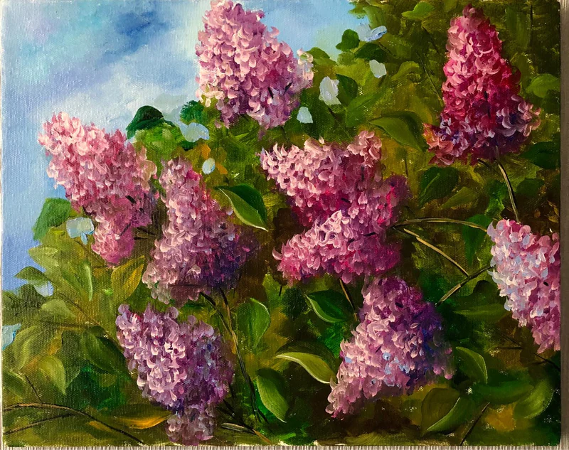 Куст сирени