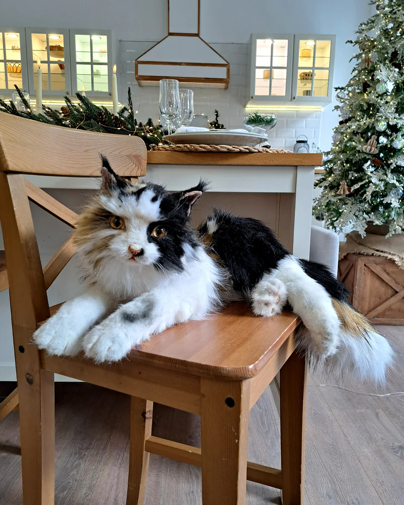 Реалистичная кошка Женька