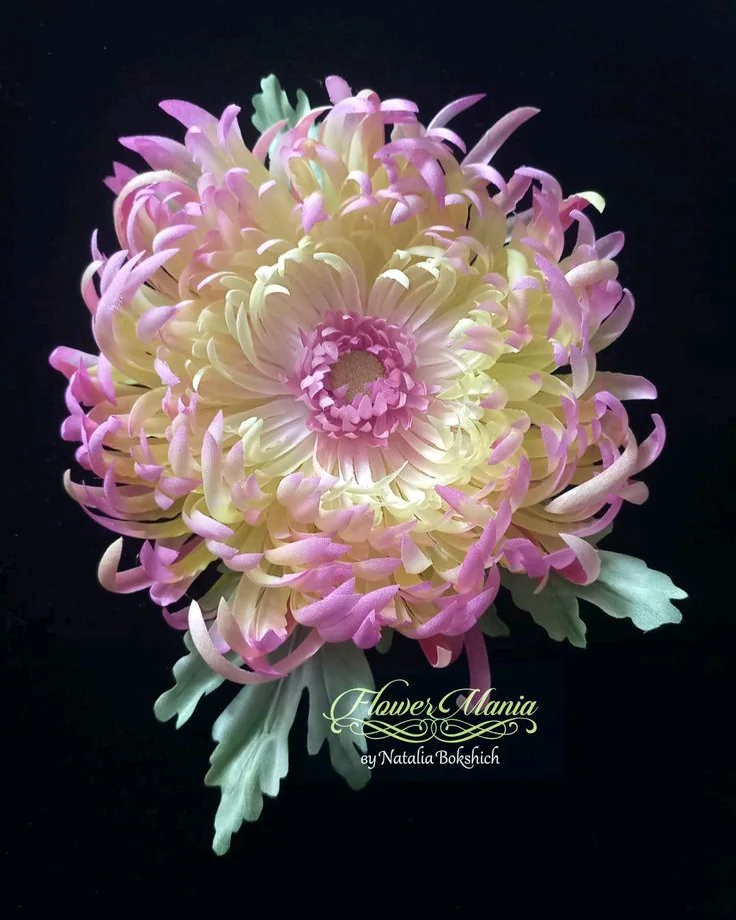 RIO YELLOW-PINK