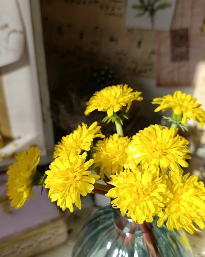 Букет одуванчиков из полимерной глины холодный фарфор ручной работы — Одуванчики