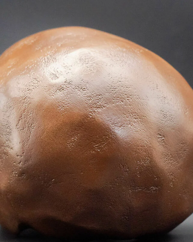 Homo longi (Денисовец) Реконструкция черепа – Человек-Дракон