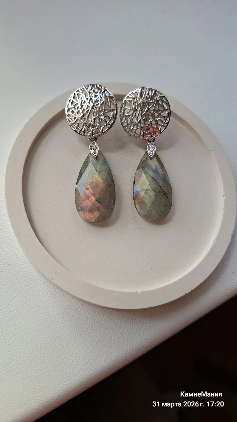 Серьги с лабрадором