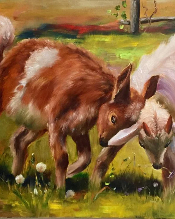 Дружеское столкновение