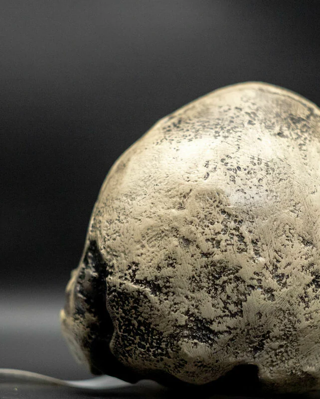 Хомо Хабилис Homo habilis Skull (KNM-ER 1813), модель черепа
