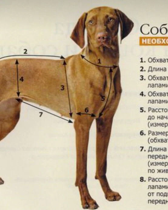 Свитер " Брусника"