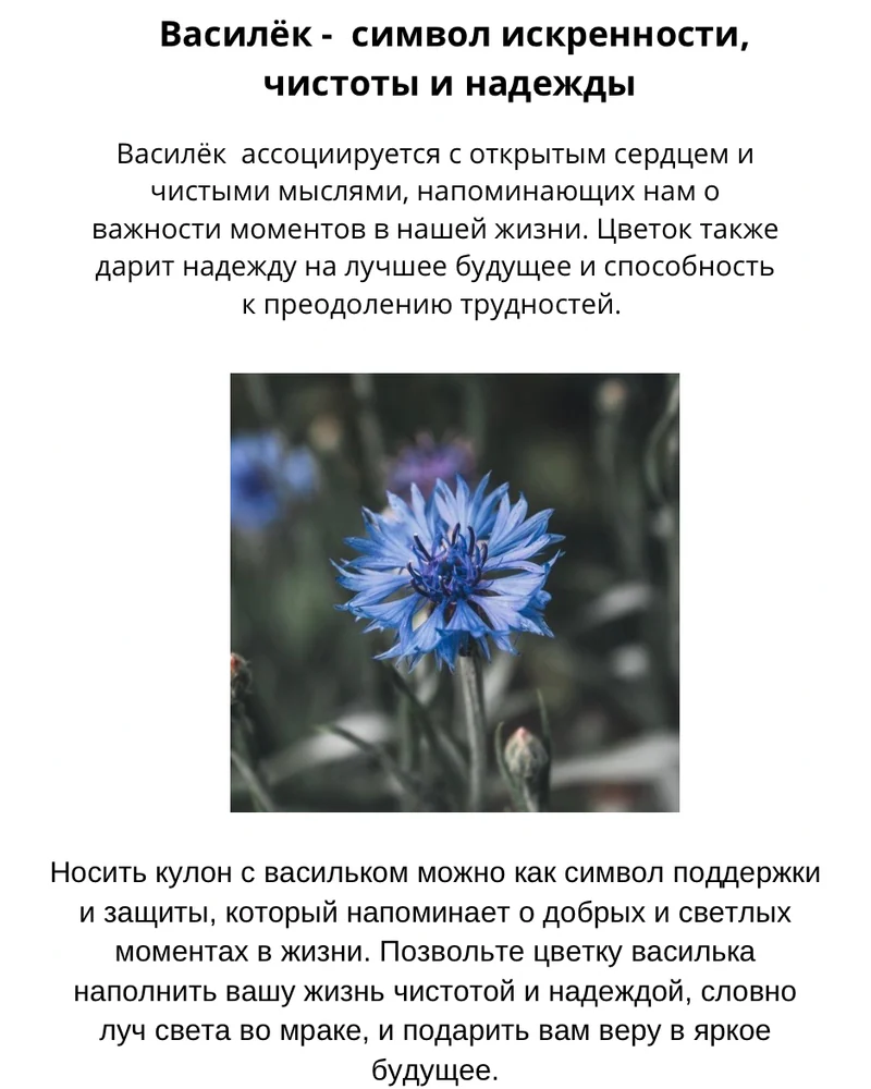 Подвеска Василек на цепочке — Основное исполнение