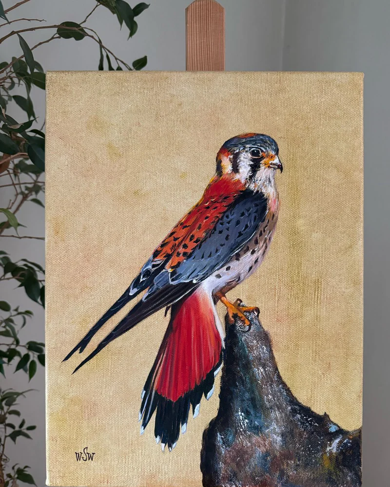 Картина маслом 30×40 см. Falco. Сокол — Оригинал
