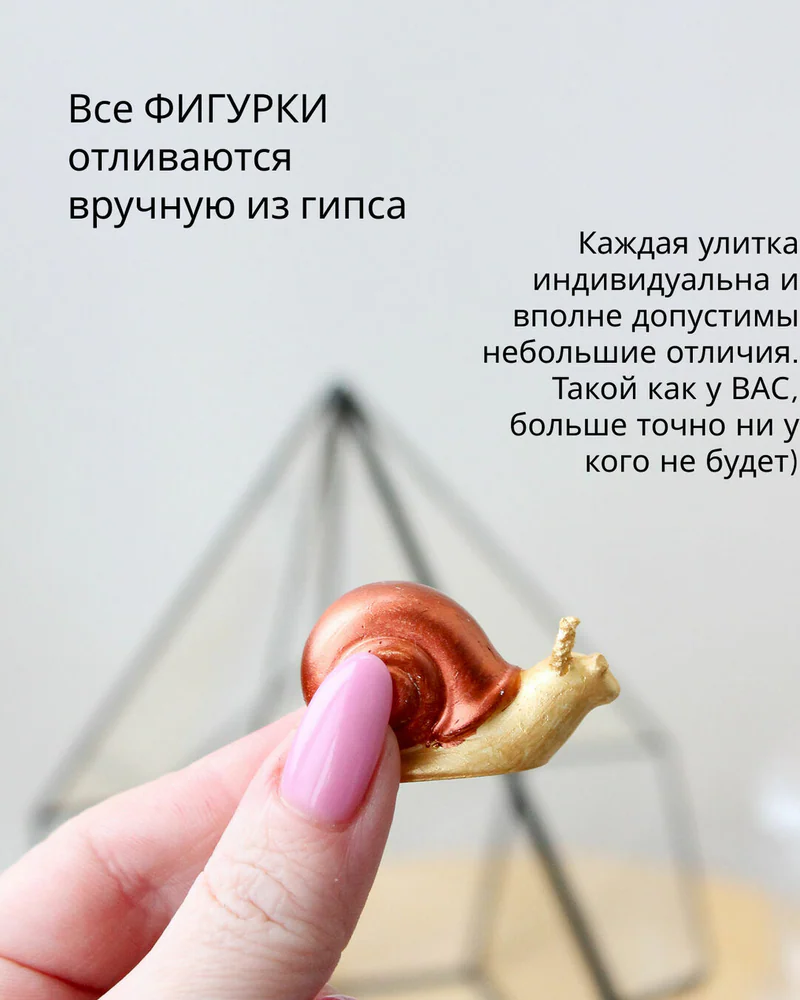 Флорариум, Набор для самостоятельной сборки флорариума с улиткой — Основной