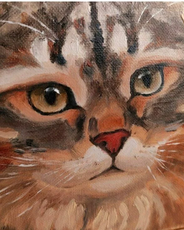 Картина с котиком Сибирский кот масло 20 на 20 см