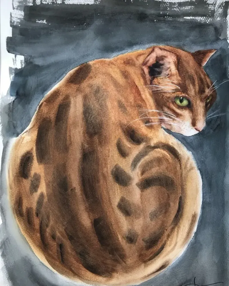 Кот. Картина акварелью — 30×40 см